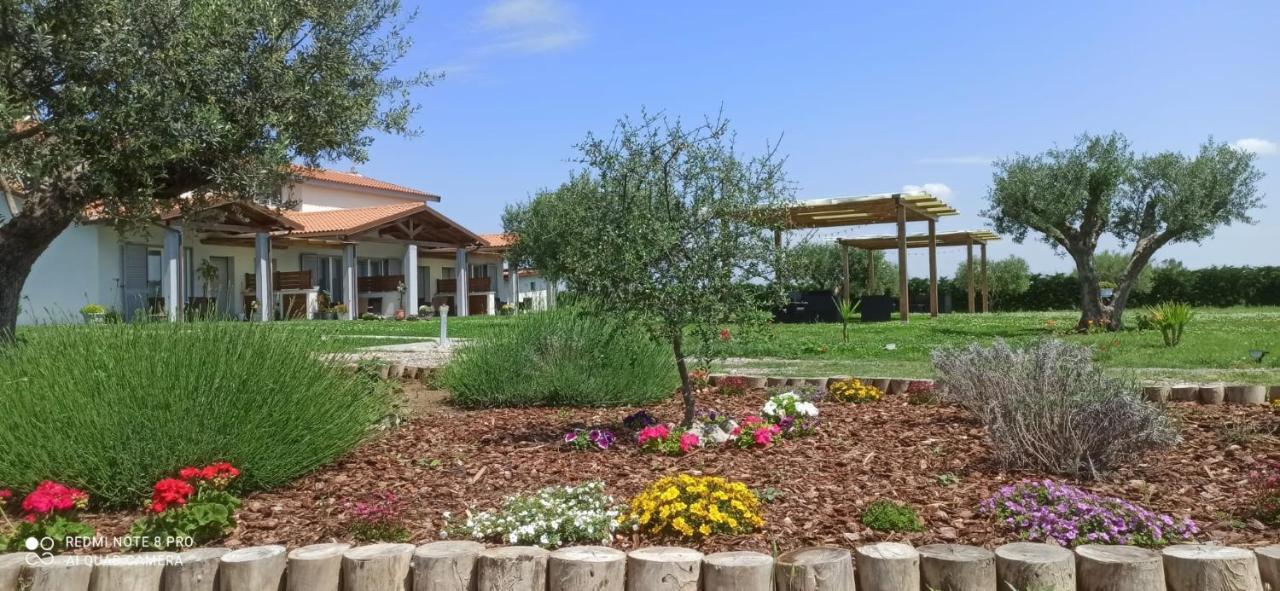 Residence La Pace - Pool & Relax Marina di Grosseto Bagian luar foto