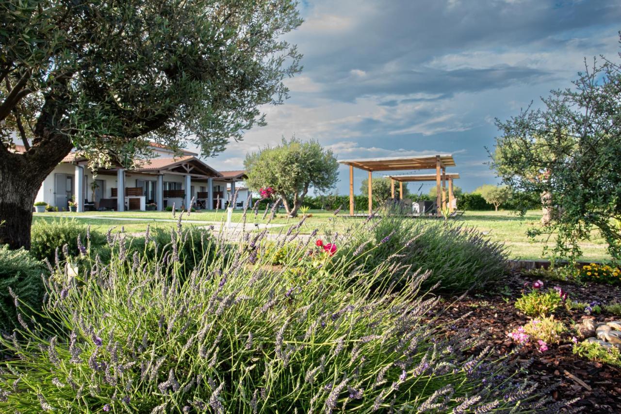 Residence La Pace - Pool & Relax Marina di Grosseto Bagian luar foto