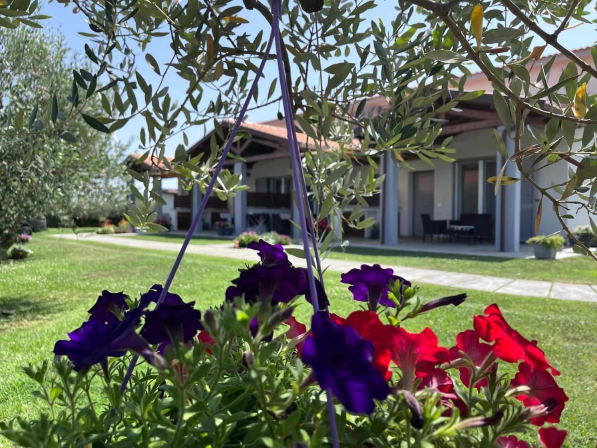 Residence La Pace - Pool & Relax Marina di Grosseto Bagian luar foto