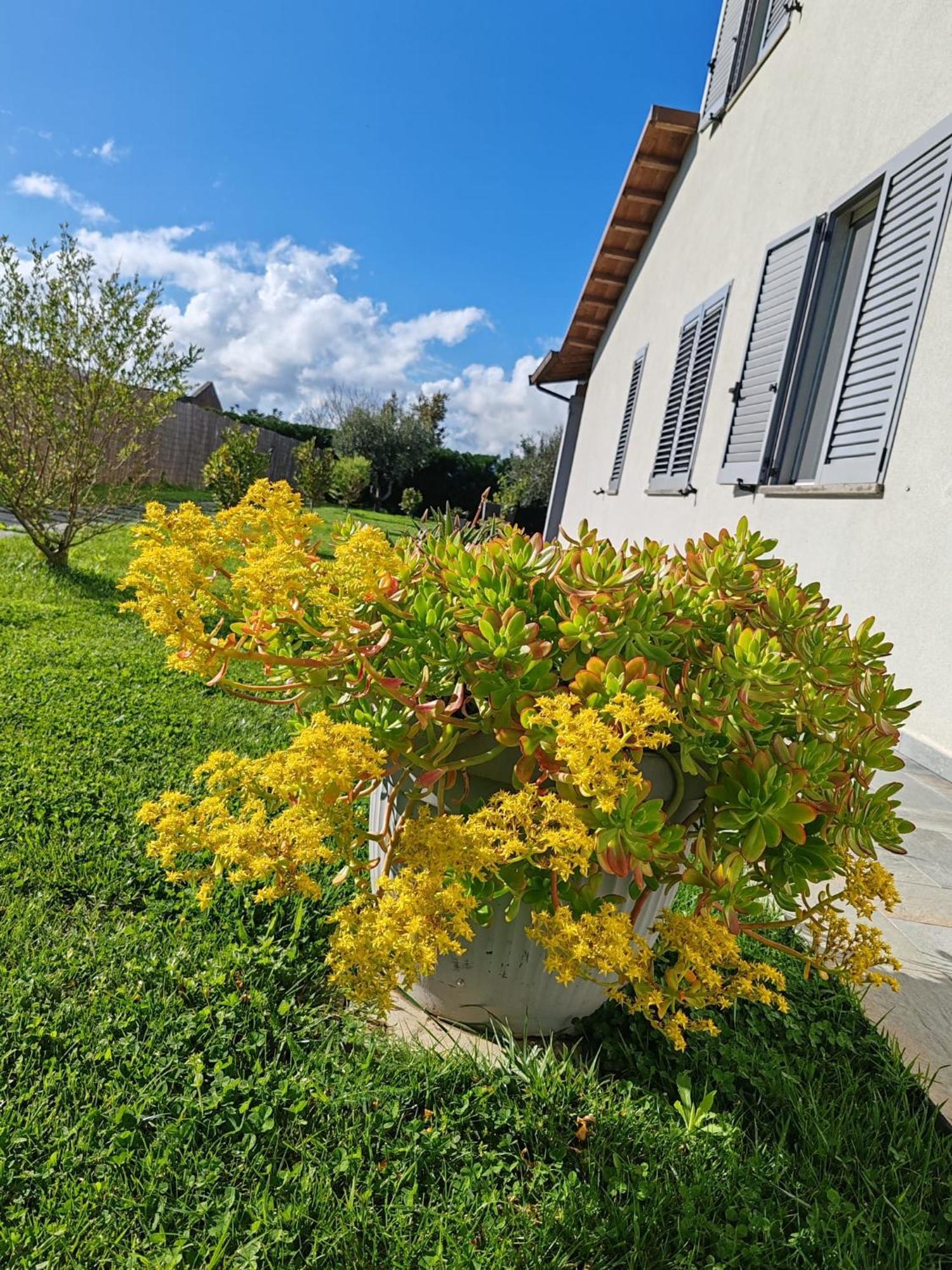 Residence La Pace - Pool & Relax Marina di Grosseto Bagian luar foto