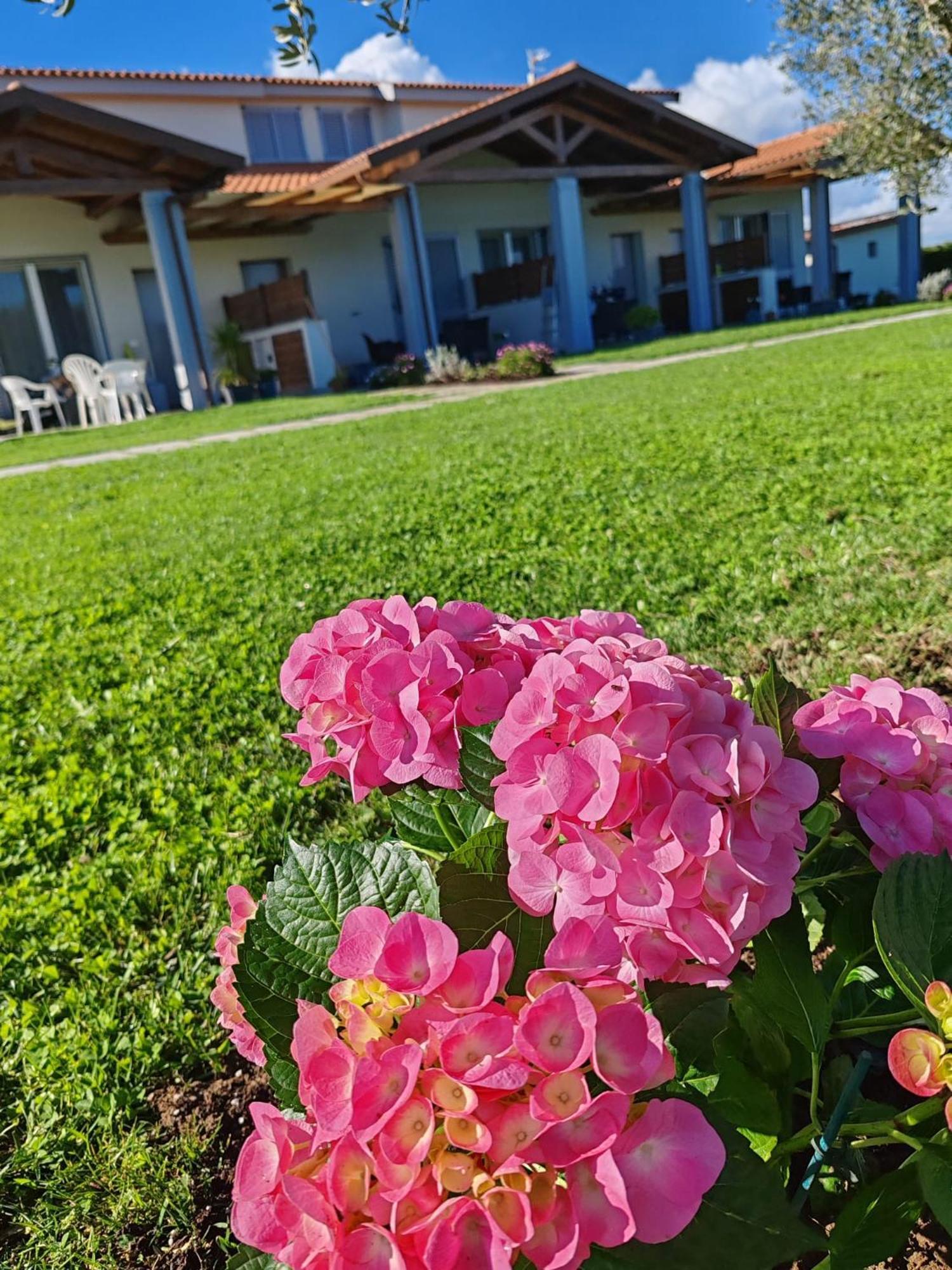 Residence La Pace - Pool & Relax Marina di Grosseto Bagian luar foto