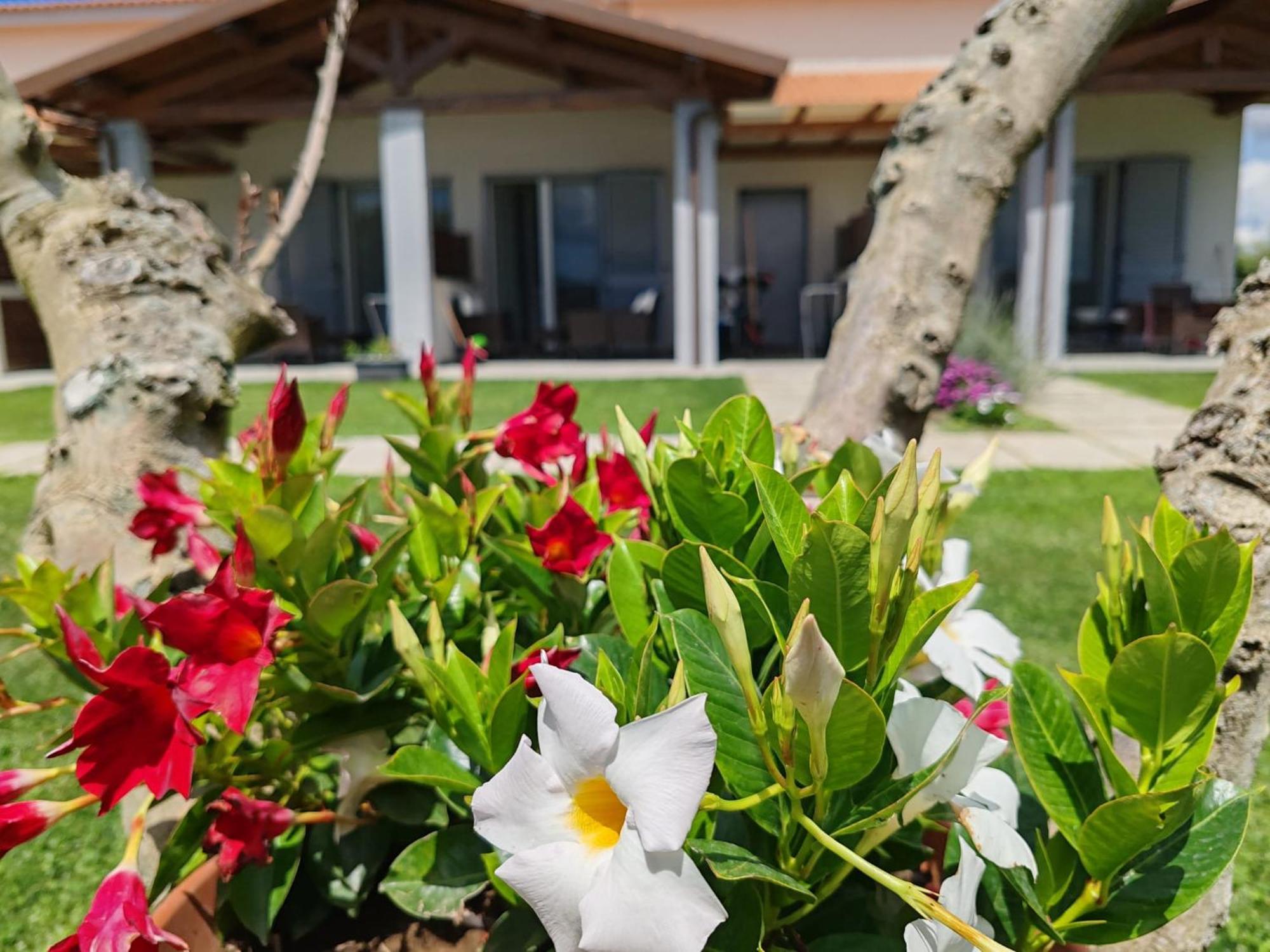 Residence La Pace - Pool & Relax Marina di Grosseto Bagian luar foto