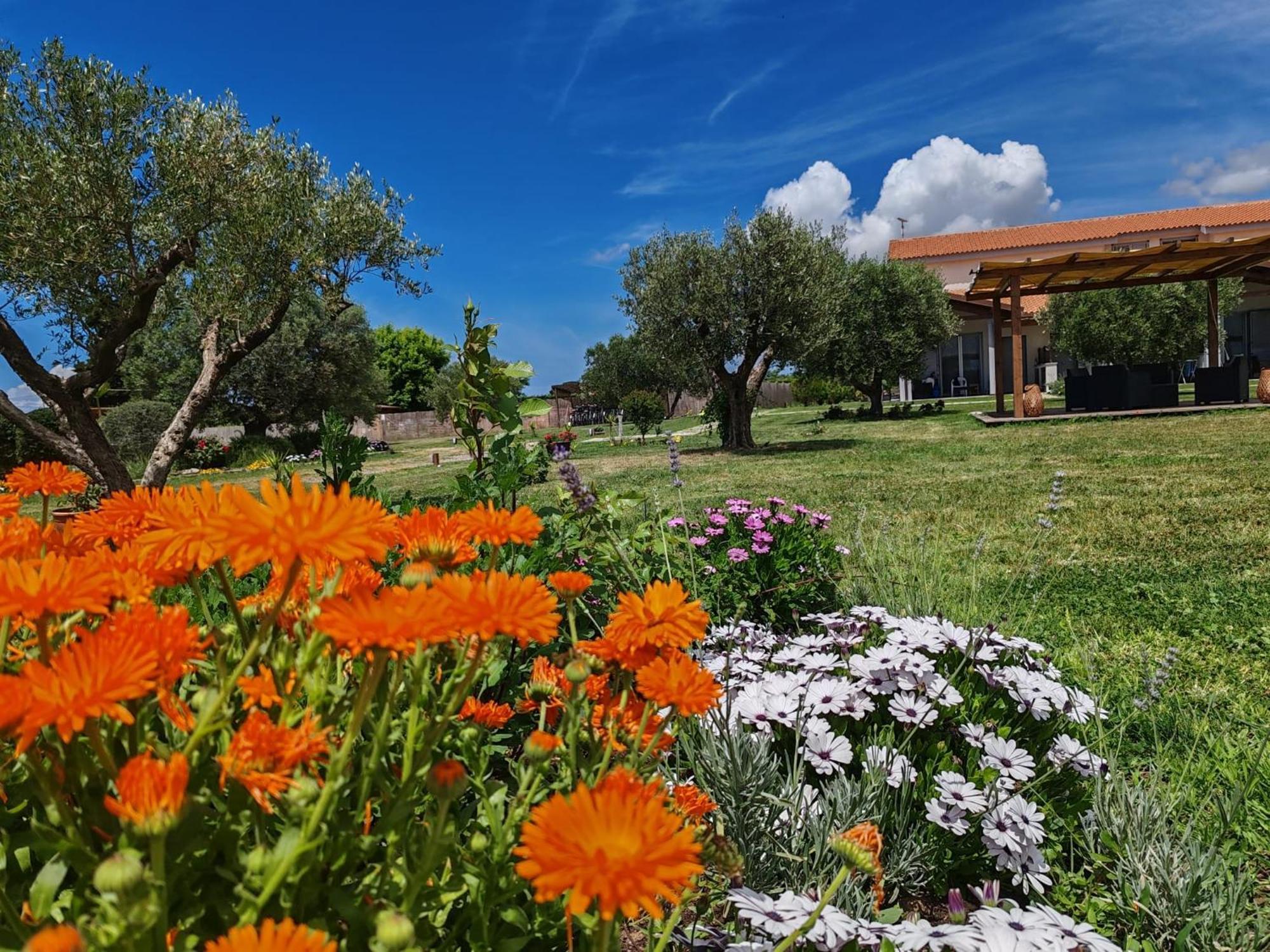 Residence La Pace - Pool & Relax Marina di Grosseto Bagian luar foto