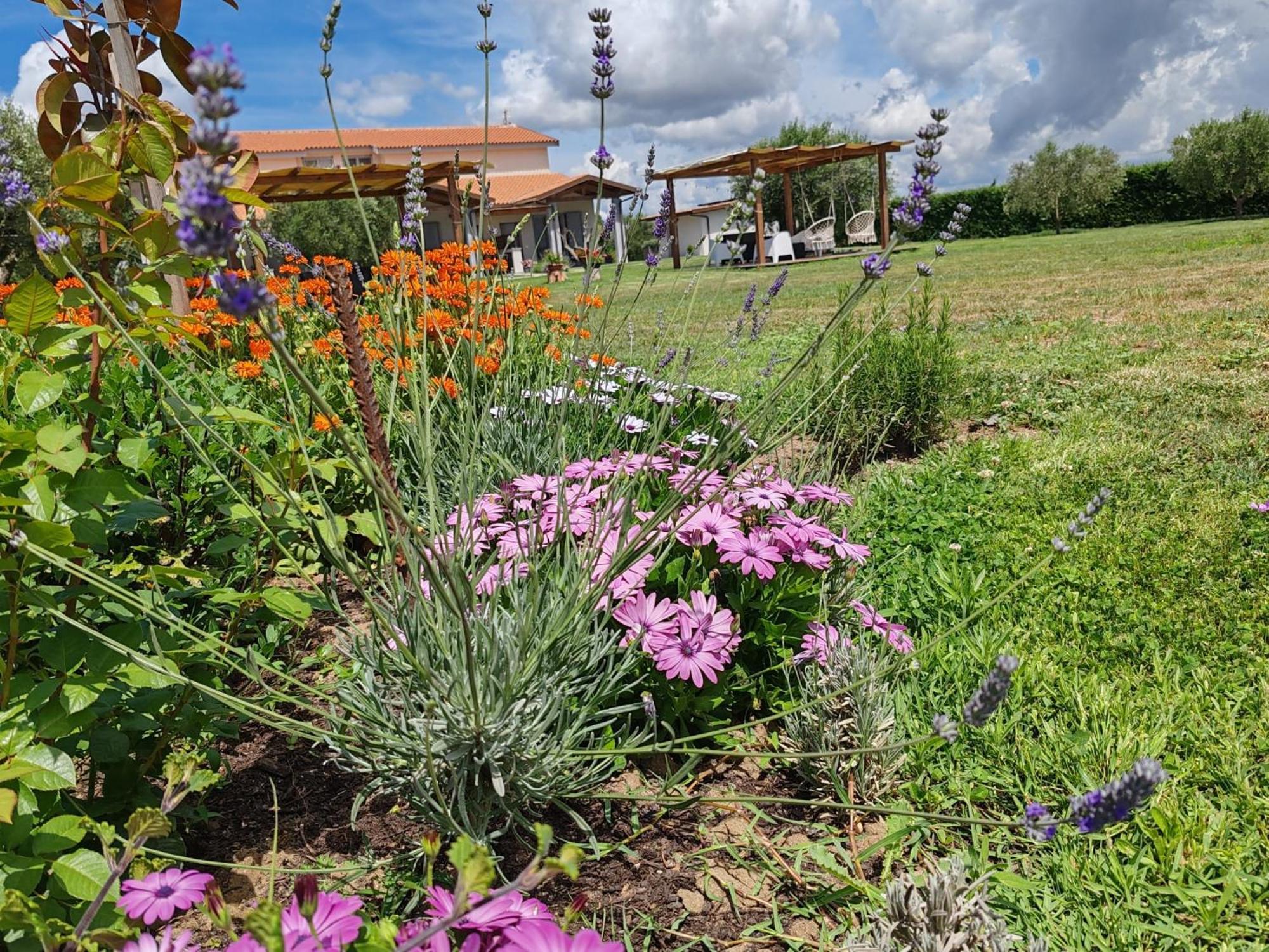 Residence La Pace - Pool & Relax Marina di Grosseto Bagian luar foto