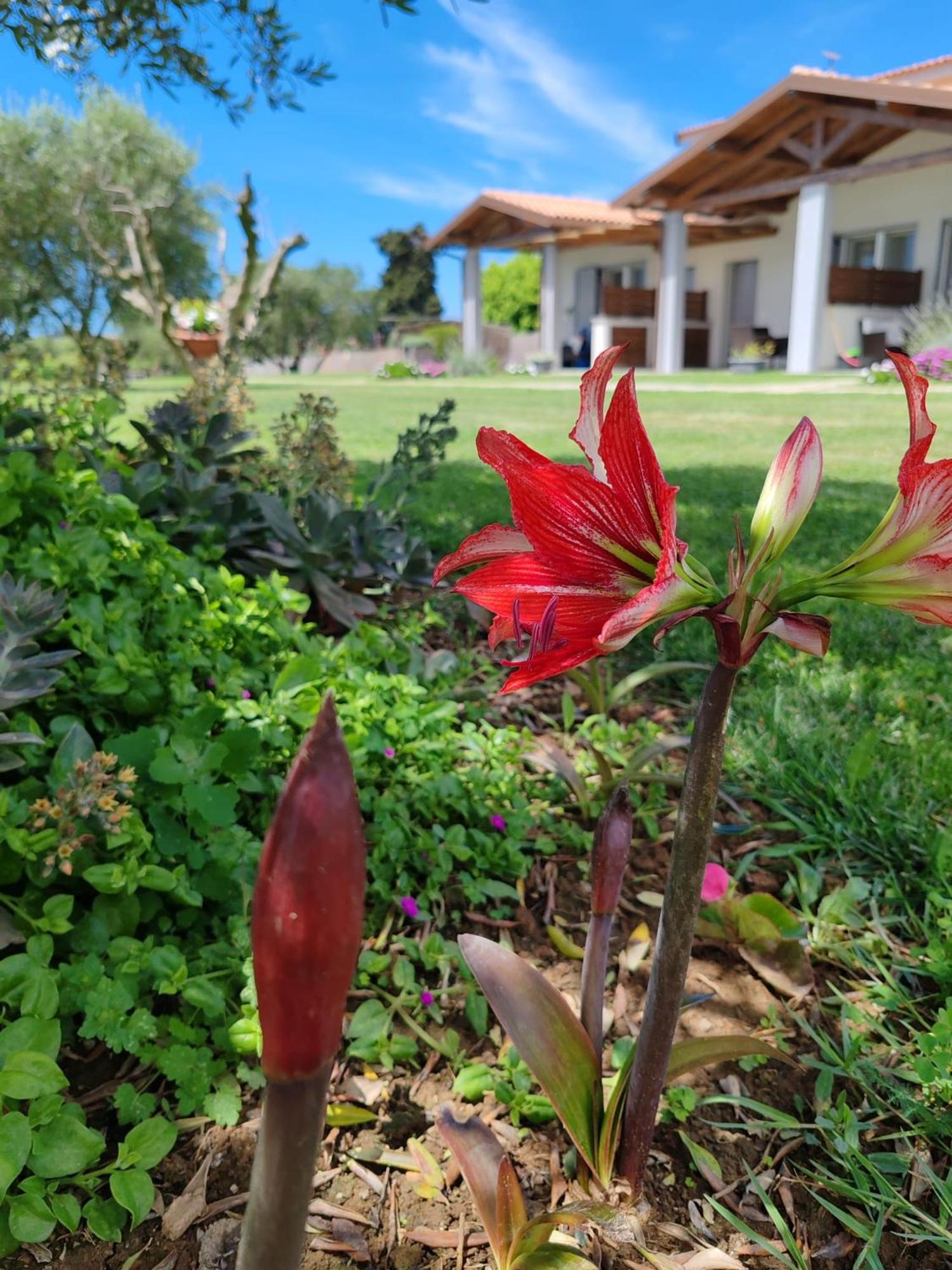 Residence La Pace - Pool & Relax Marina di Grosseto Bagian luar foto