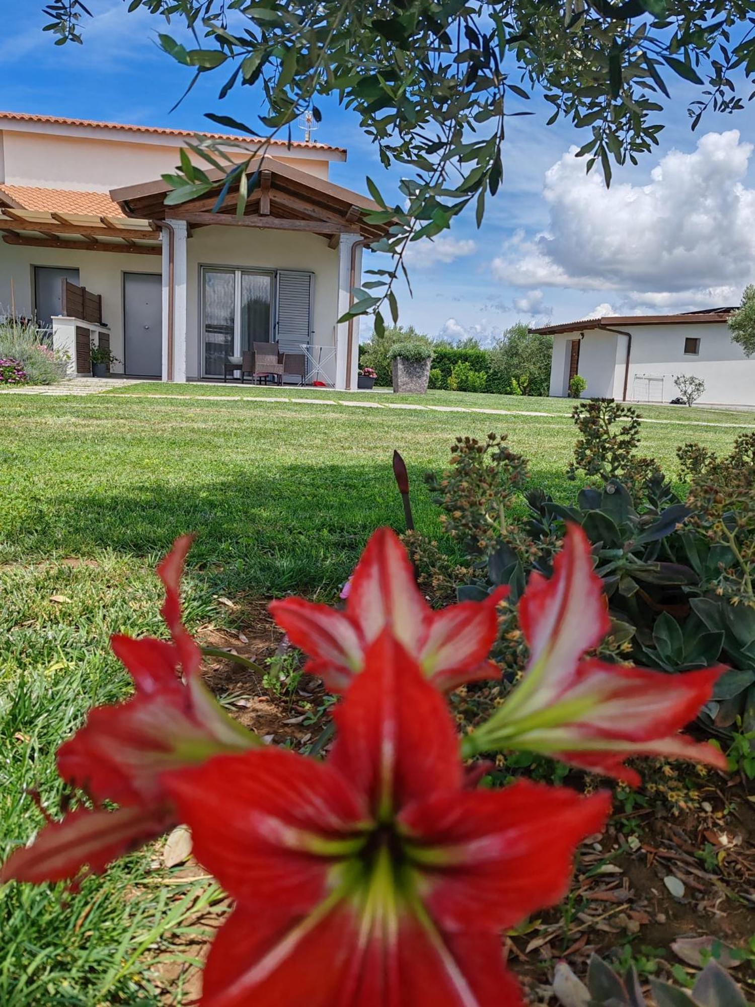 Residence La Pace - Pool & Relax Marina di Grosseto Bagian luar foto