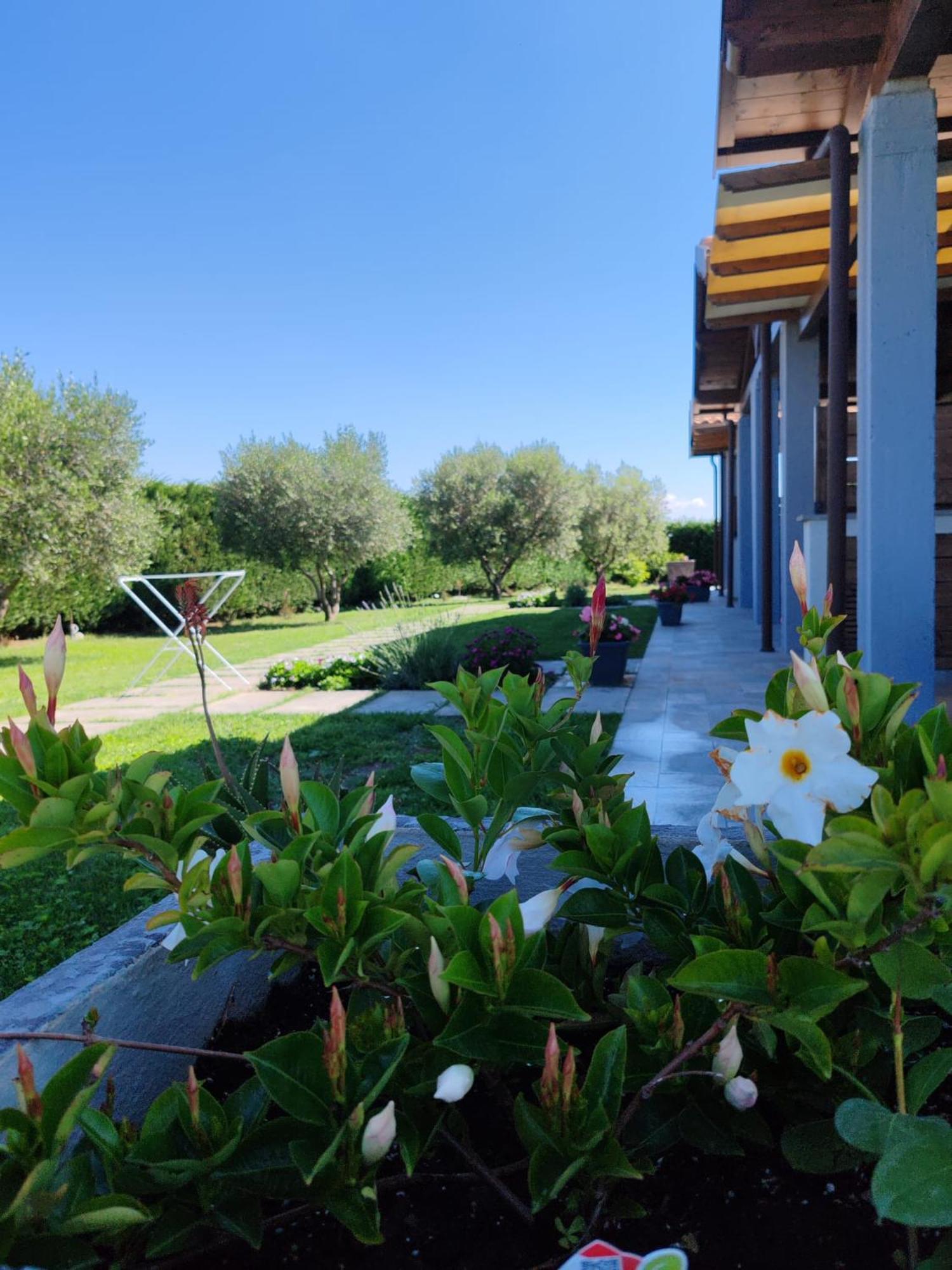 Residence La Pace - Pool & Relax Marina di Grosseto Bagian luar foto